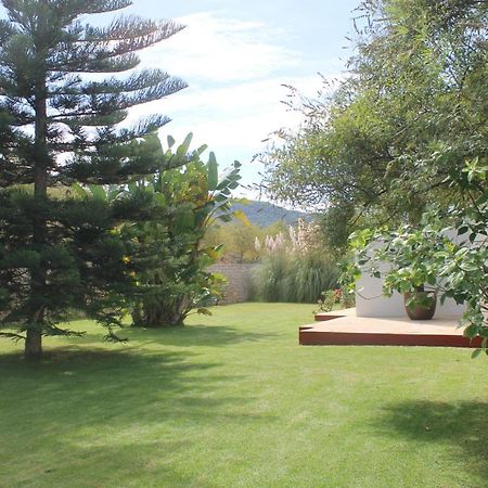 Villa Ca Na Vinya Cala Tarida  Exterior foto